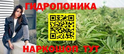 каннабис Гатчина