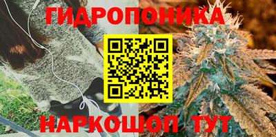 прущая мука Гай