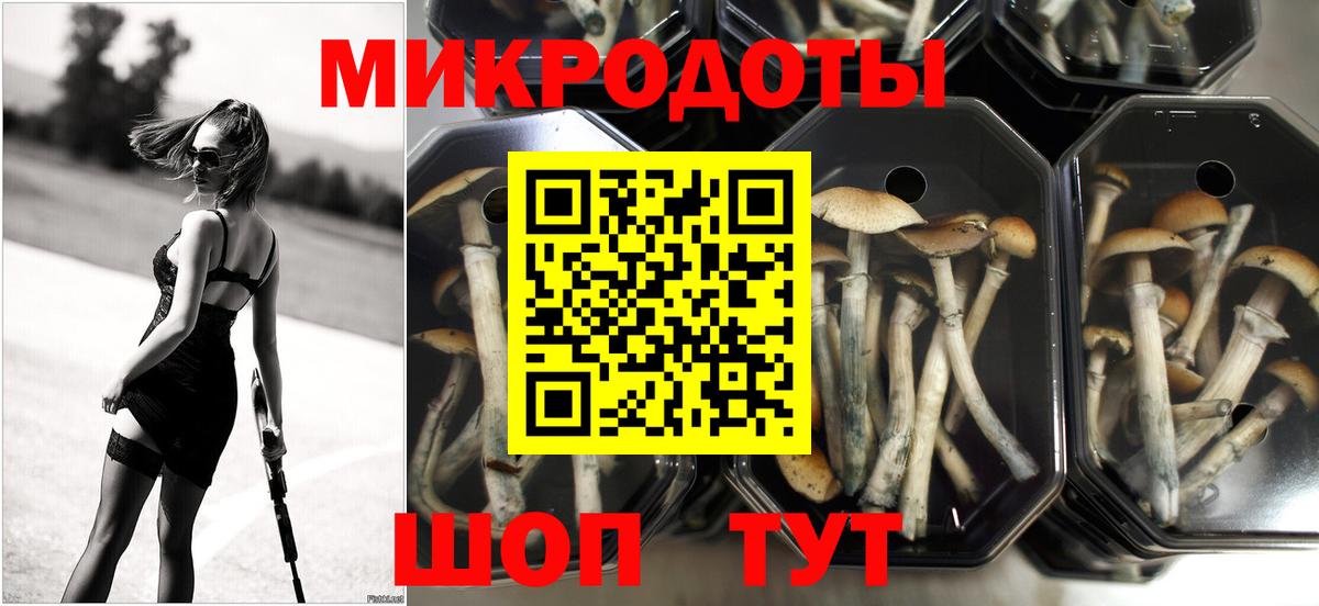 Каннабис Котлас