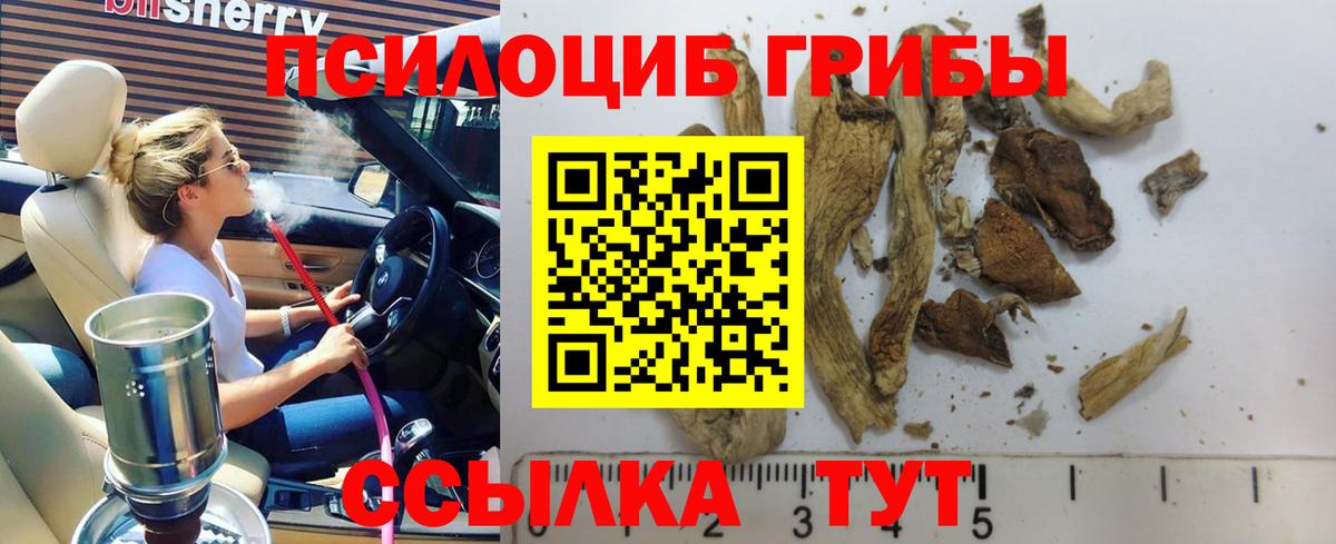 Котлас  Галлюциногенные грибы GOLDEN TEACHER  Вход с VPN 
